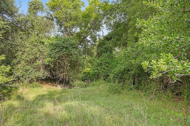 2347 Harmony Rd, Weimar, TX 78962 - photo 12