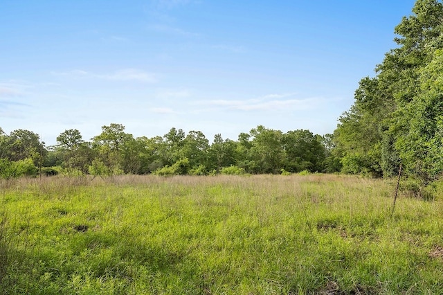 2347 Harmony Rd, Weimar, TX 78962 - photo 13