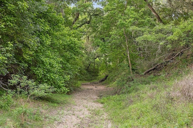 2347 Harmony Rd, Weimar, TX 78962 - photo 14