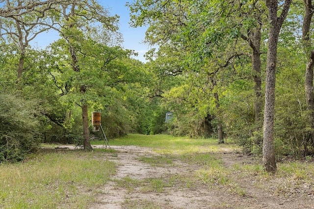2347 Harmony Rd, Weimar, TX 78962 - photo 16