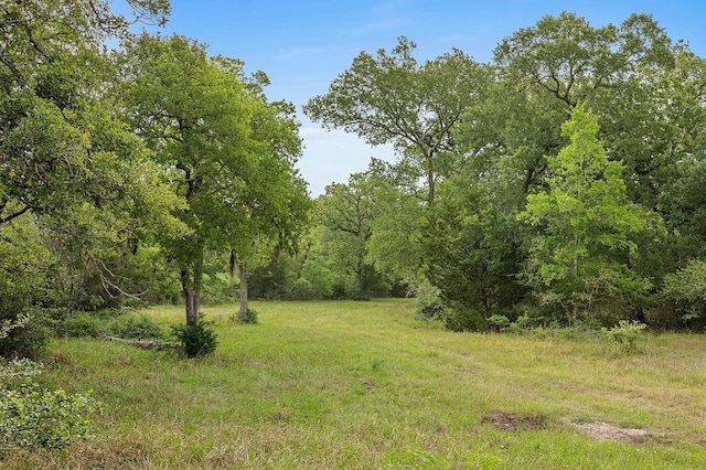 2347 Harmony Rd, Weimar, TX 78962 - photo 17