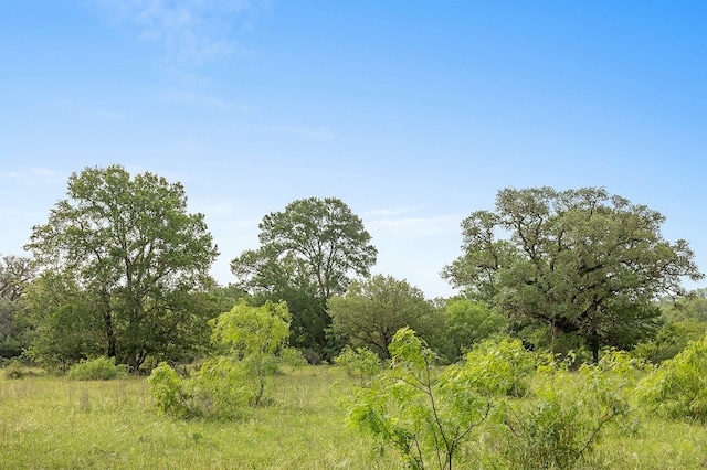 2347 Harmony Rd, Weimar, TX 78962 - photo 23