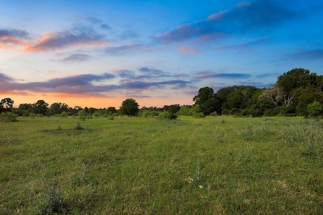 2347 Harmony Rd, Weimar, TX 78962 - photo 24