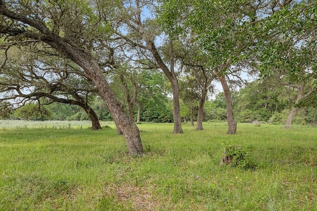 2347 Harmony Rd, Weimar, TX 78962 - photo 26