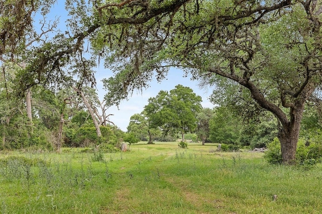 2347 Harmony Rd, Weimar, TX 78962 - photo 27