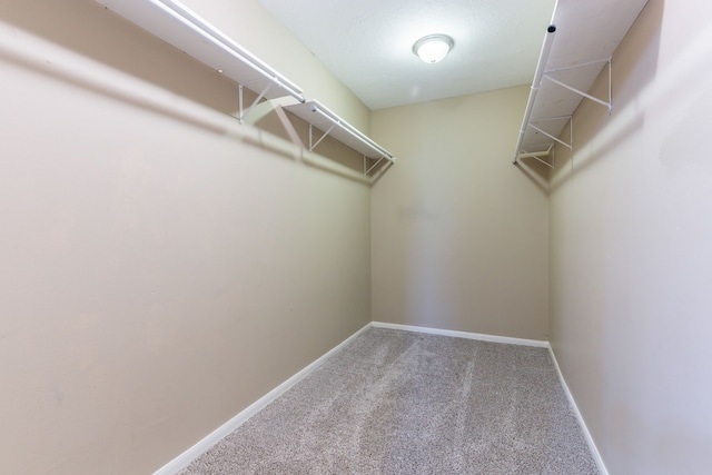 walk in closet featuring carpet floors