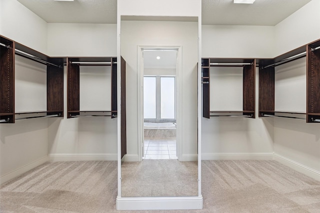 13906 Bell Valley Ct, Houston, TX 77059 - walk in closet featuring carpet
