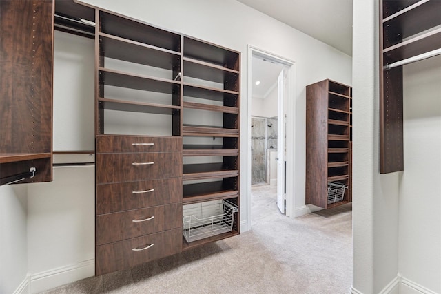 13906 Bell Valley Ct, Houston, TX 77059 - spacious closet featuring carpet flooring
