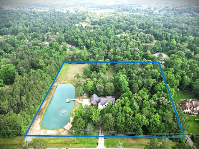 4034 Honea Egypt Rd, Montgomery, TX 77316 - photo 36