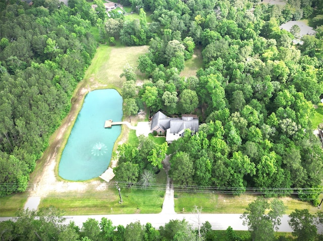 4034 Honea Egypt Rd, Montgomery, TX 77316 - photo 37
