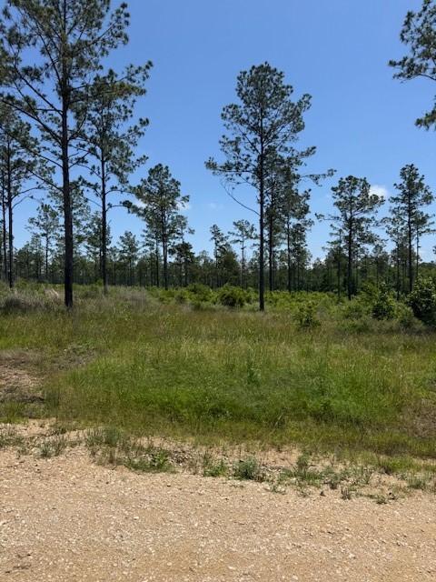 TBD38 Reveille Rd, Livingston, TX 77351 - photo 1