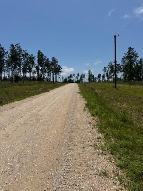 TBD38 Reveille Rd, Livingston, TX 77351 - photo 3