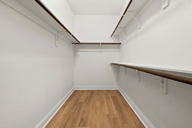 spacious closet featuring light wood-style flooring