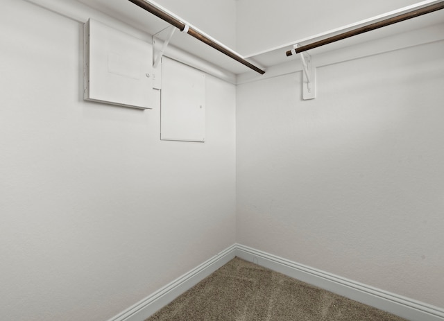 walk in closet with carpet