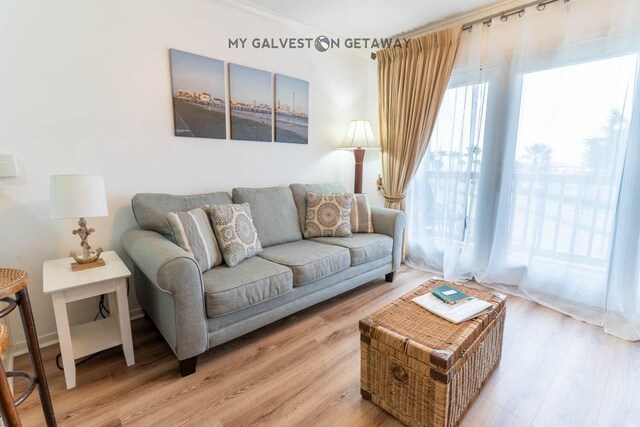 6300 Seawall Blvd Unit 9228, Galveston, TX 77551 - living room with light wood-style flooring and ornamental molding