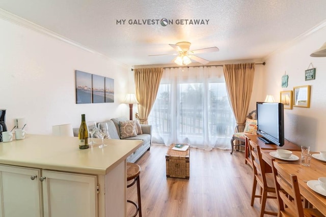 6300 Seawall Blvd Unit 9228, Galveston, TX 77551 - living area with ornamental molding, a textured ceiling, a ceiling fan, and light wood-style floors