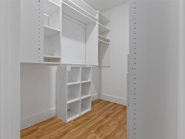 walk in closet featuring light wood finished floors