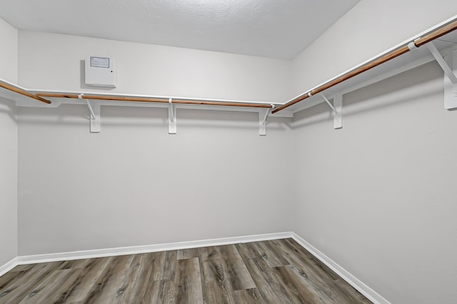 14418 Cellini Dr, Cypress, TX 77429 - walk in closet featuring wood finished floors