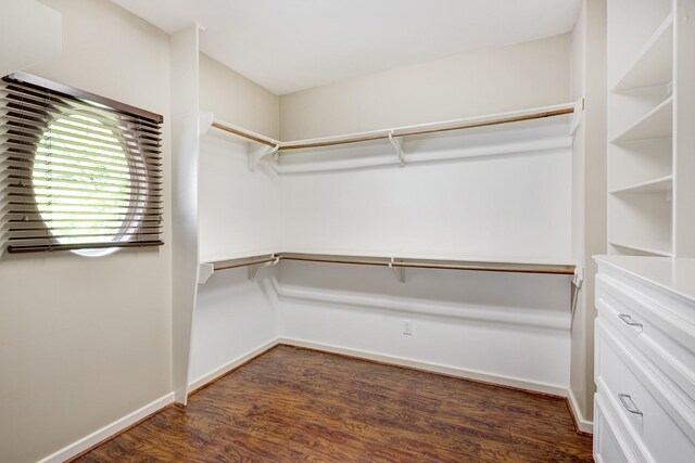walk in closet featuring dark wood finished floors