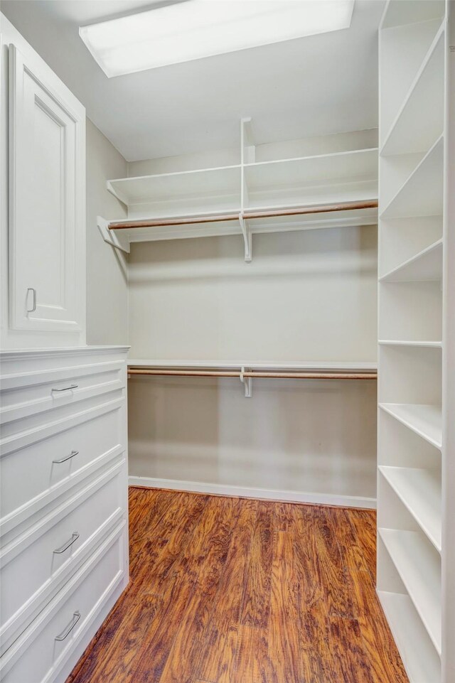 spacious closet featuring dark wood-style floors