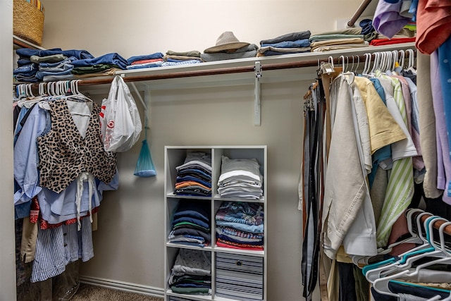 walk in closet featuring carpet