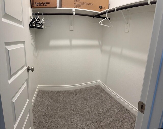 7010 Goldstrum Way, Katy, TX 77493 - walk in closet featuring carpet floors
