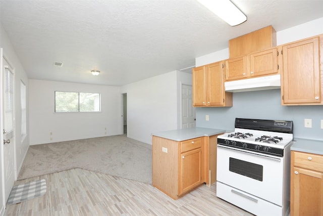 18419 Buddy Riley Blvd, Magnolia, TX 77354 - photo 21