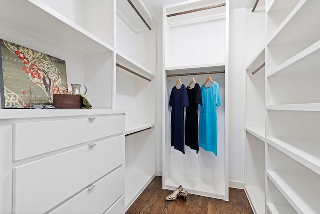910 W 19th St Unit A, Houston, TX 77008 - spacious closet featuring dark wood-type flooring