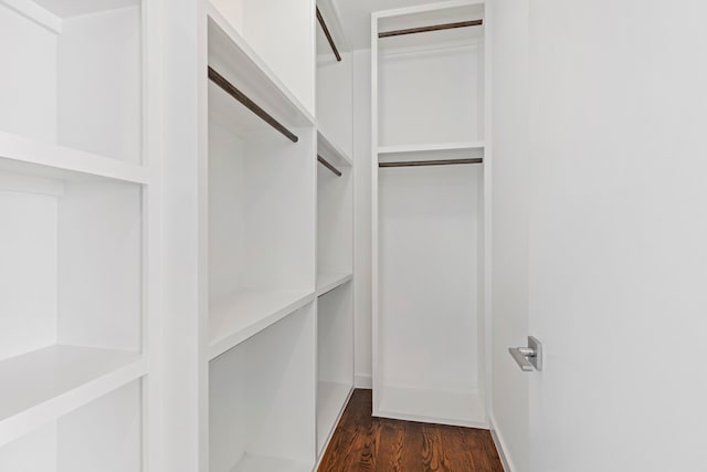 910 W 19th St Unit A, Houston, TX 77008 - spacious closet with dark wood finished floors