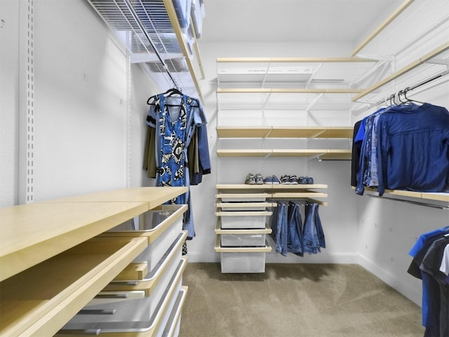 11987 White Oak Xing, Conroe, TX 77385 - walk in closet with carpet