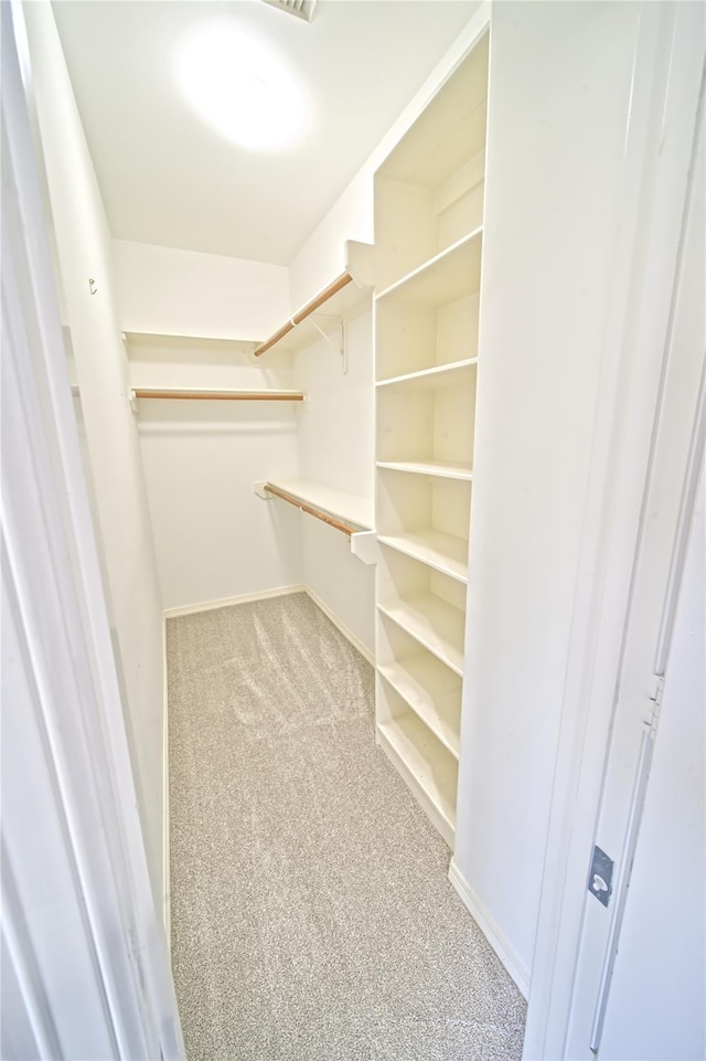 910 Peachwood Bend Dr, Houston, TX 77077 - walk in closet with light colored carpet
