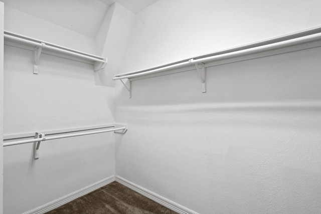 326 Lake Rim Dr, Rosenberg, TX 77469 - walk in closet with dark colored carpet