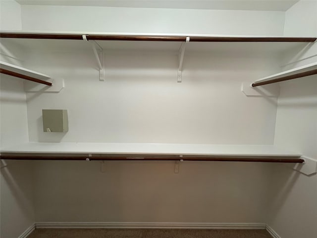 11317 Elegant Way, Houston, TX 77066 - spacious closet featuring carpet flooring