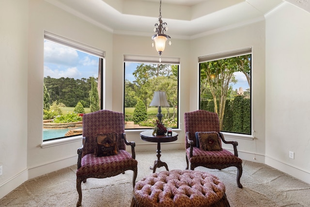 38 Post Shadow Estate Dr, Spring, TX 77389 - living area with carpet flooring, a tray ceiling, plenty of natural light, and ornamental molding