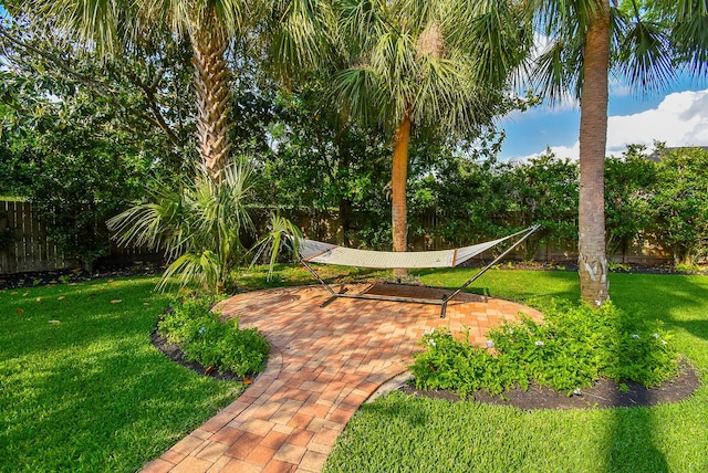 14 Wickham Ct, Sugar Land, TX 77479 - view of yard featuring a patio