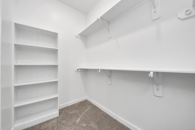 1029 Gazing Pine St, Huffman, TX 77336 - walk in closet with dark carpet