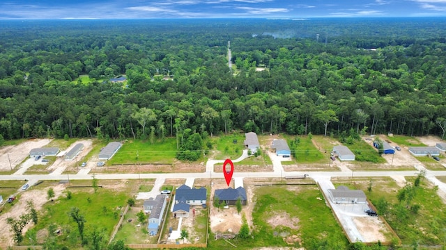 1029 Gazing Pine St, Huffman, TX 77336 - view of property location featuring a forest