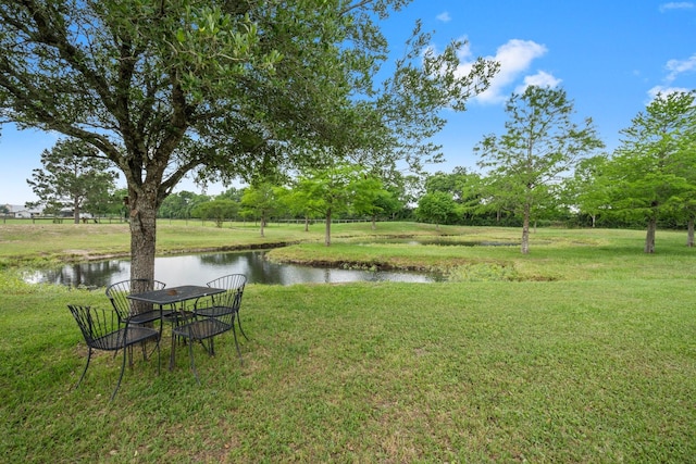 34334 Howell Rd, Waller, TX 77484 - view of green lawn with a water view