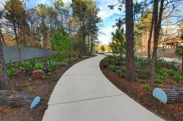 18829 Truman Trl, Conroe, TX 77302 - view of home's community