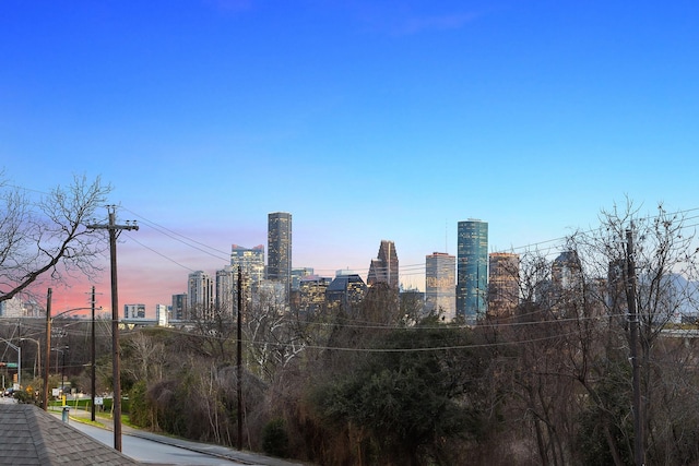 2611 Morrison St, Houston, TX 77009 - view of city