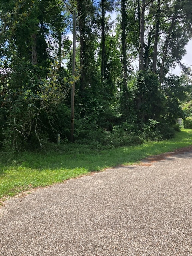 TBD Holly Dr, Onalaska, TX 77360 - photo 1