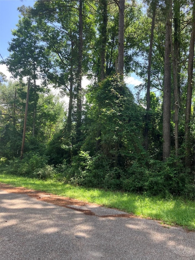 TBD Holly Dr, Onalaska, TX 77360 - photo 2