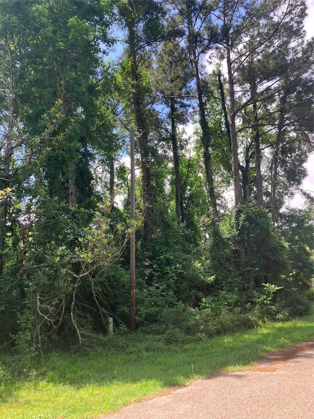 TBD Holly Dr, Onalaska, TX 77360 - photo 4