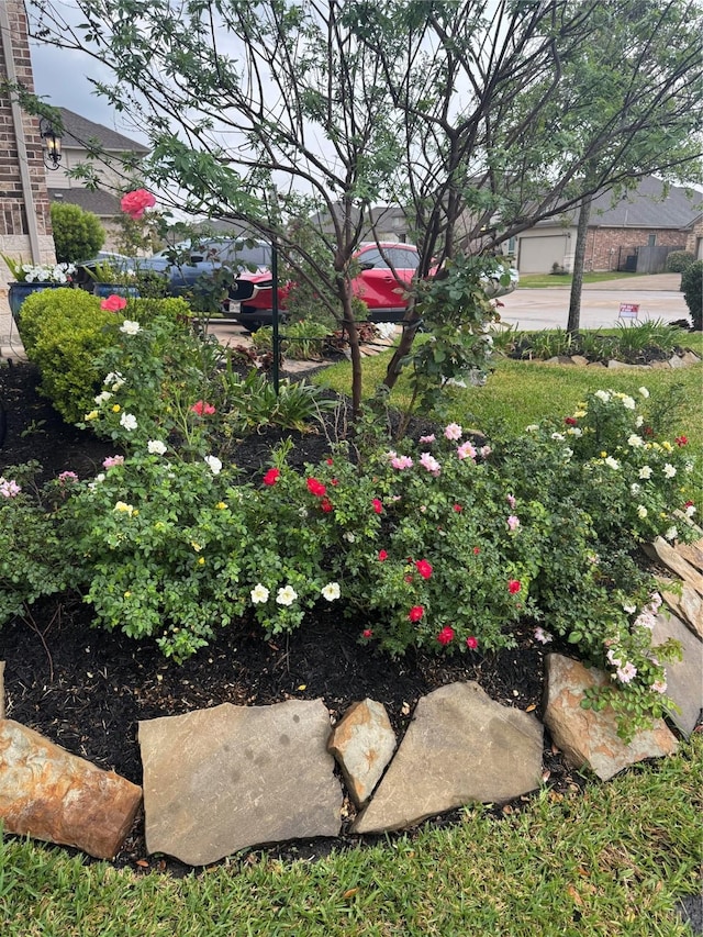 24130 Cannon Anello Ct, Katy, TX 77493 - view of yard