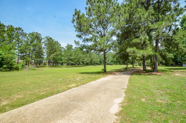 1523 Cafe Dumonde, Conroe, TX 77304 - surrounding community with a lawn, view of wooded area, and driveway