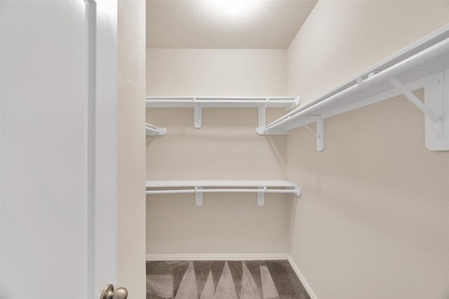 spacious closet with carpet floors