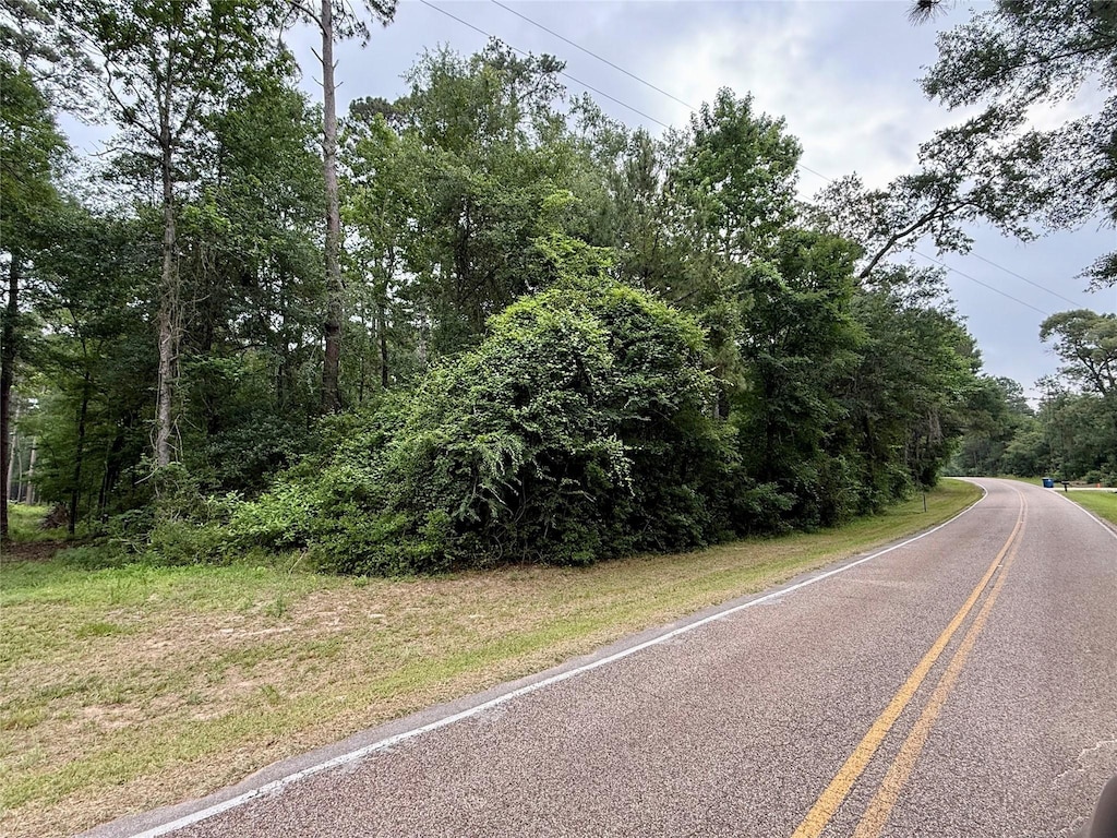 19300 Mount Pleasant Rd, Montgomery, TX 77356 - photo 1