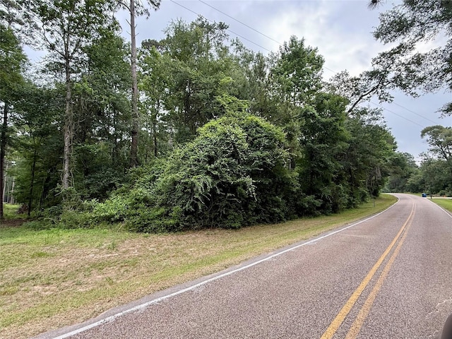 19300 Mount Pleasant Rd, Montgomery, TX 77356 - photo 1