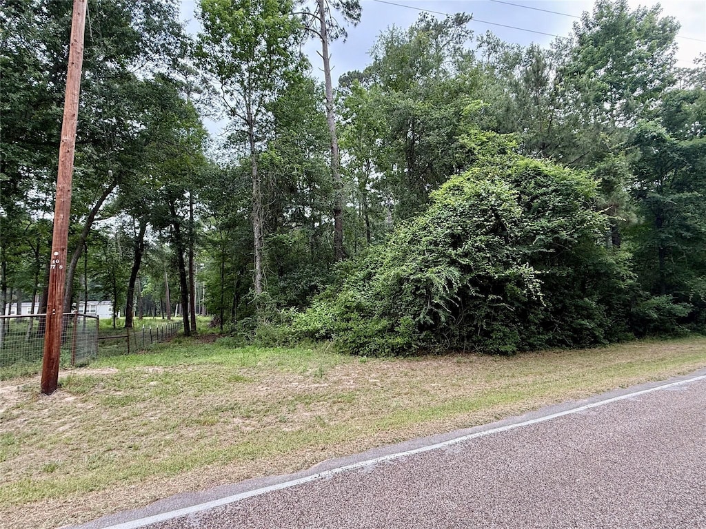19300 Mount Pleasant Rd, Montgomery, TX 77356 - photo 2