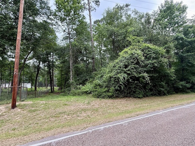 19300 Mount Pleasant Rd, Montgomery, TX 77356 - photo 2